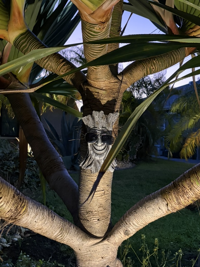 Tiki Face