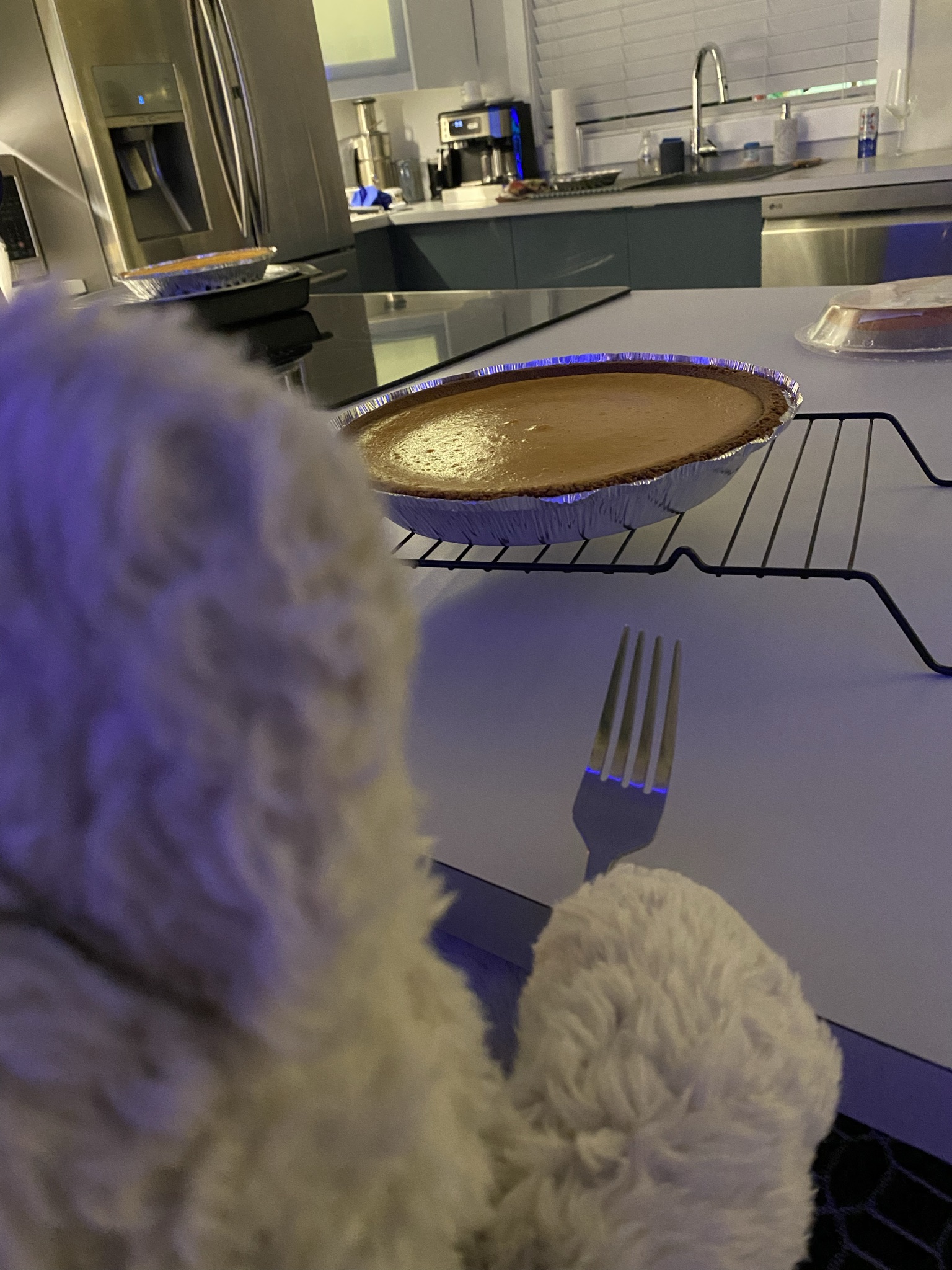 Pie Patrol