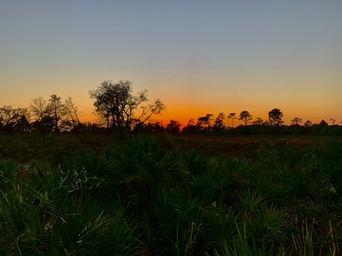 Florida Sunset